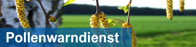 Pollenwarndienst (Geosphere Austria)